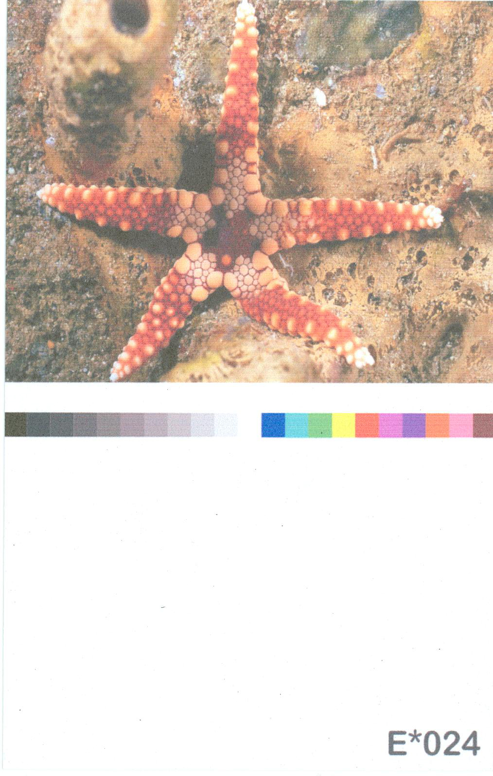 Digital Wallpaper – E 024