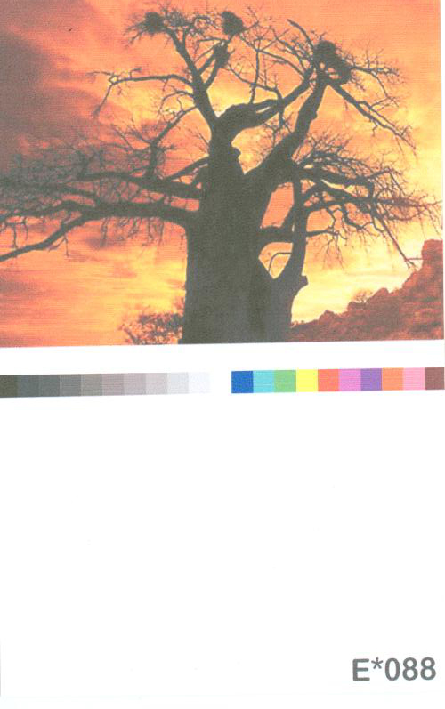 Digital Wallpaper – E 088