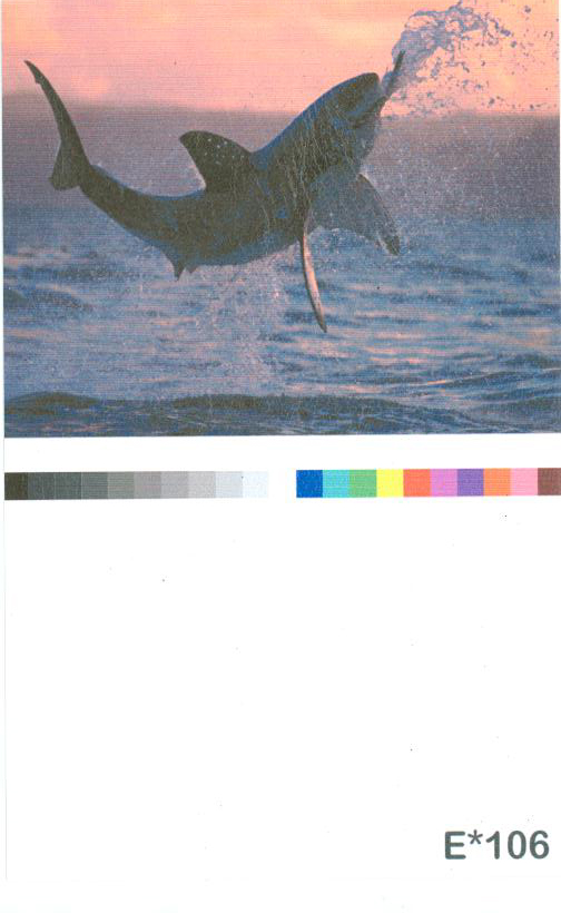 Digital Wallpaper – E 106