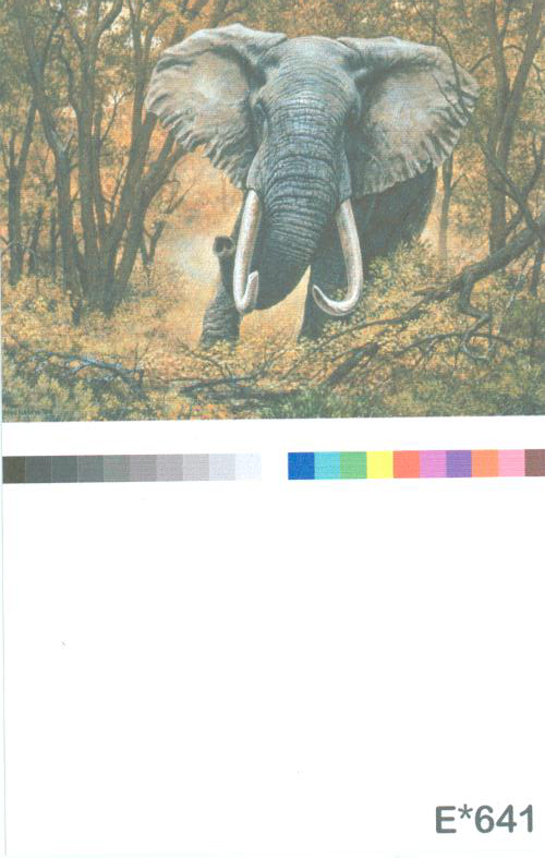 Digital Wallpaper – E 641